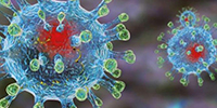 Что такое новый коронавирус?